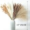 Decorate your home with Dried Pampas Grass, 100 pieces of which include Bunny Tails Dried Flowers and a Reed Grass Bouquet for a rustic farmhouse party or bohemian floral wedding table (white and brown).
